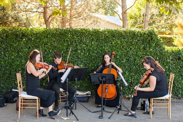  A Classic California Wine Country Wedding 