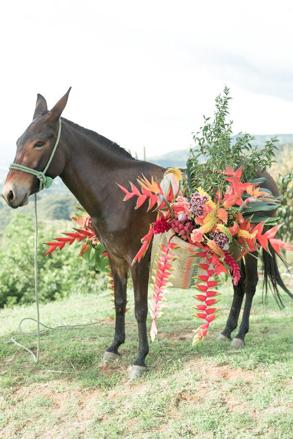  Colorful Mountaintop Wedding Inspo