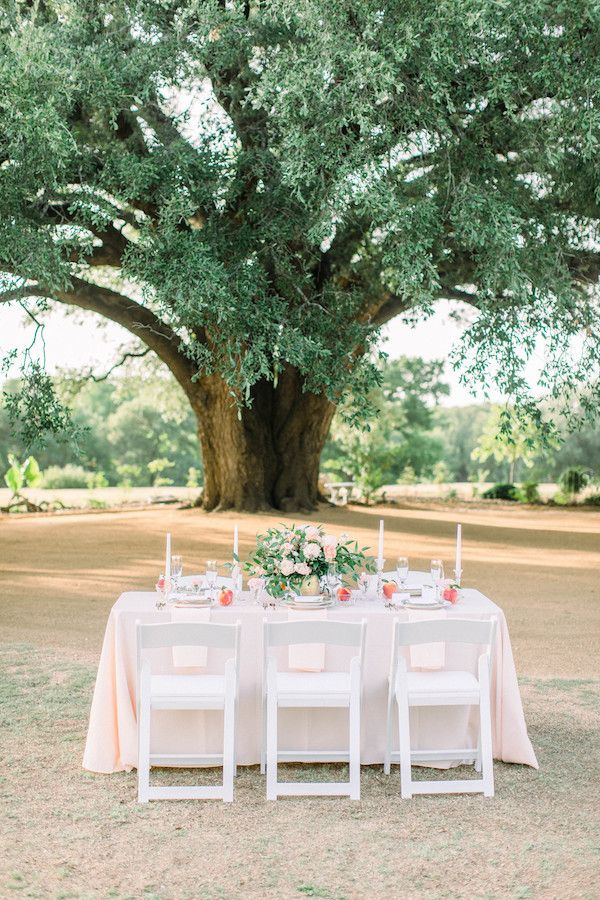  Under the Oak Trees with Peachy Details Galore