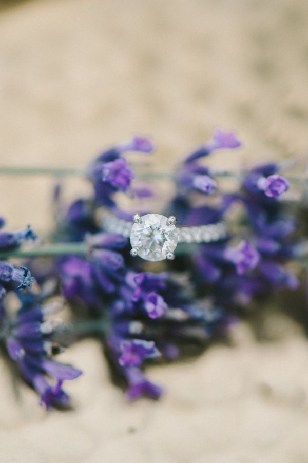  Love in the Lavender Fields!