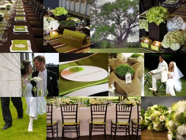 Fern Wedding