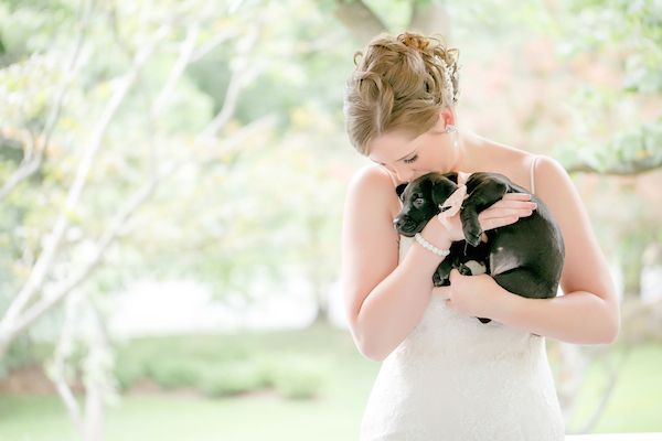  Peppy Wedding Inspiration with Puppies Galore!