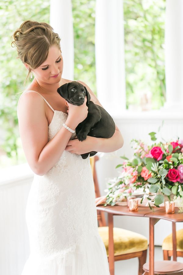 Peppy Wedding Inspiration with Puppies Galore!