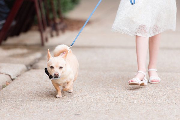  Heather & Aaron's Colorful Birmingham, Alabama Wedding