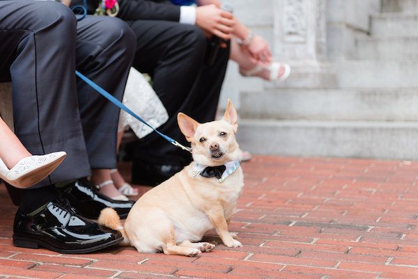  Heather & Aaron's Colorful Birmingham, Alabama Wedding