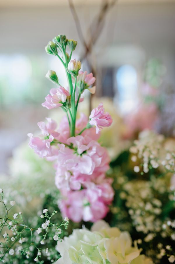  A Sunny and Sweet Naples Wedding