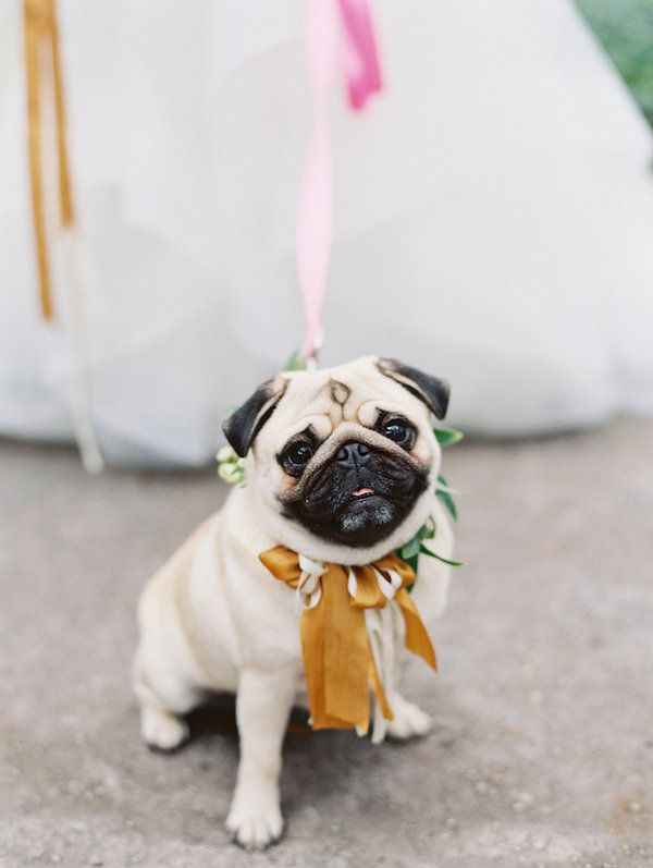  A Classic Winter Wedding in South Carolina