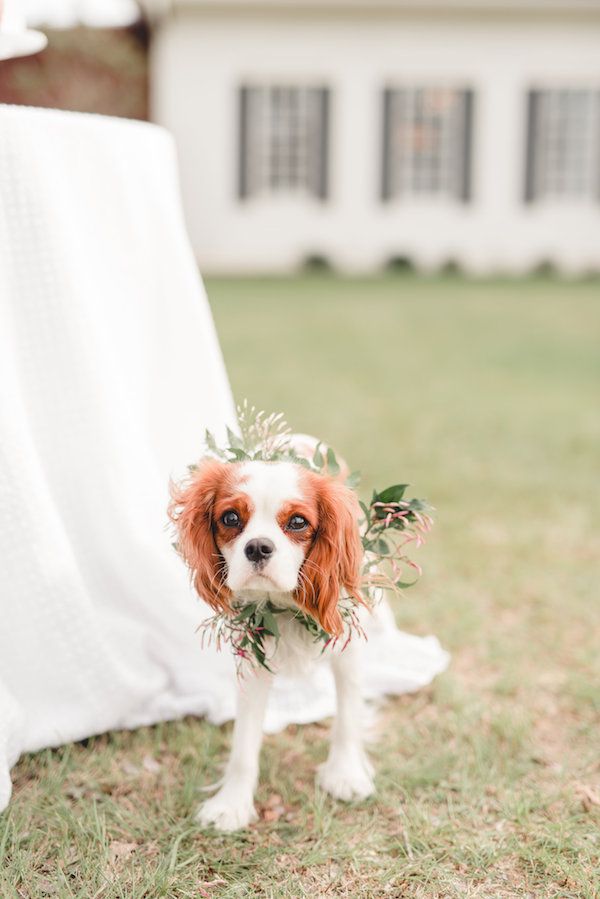  Backyard Southern Soirée Styled Shoot