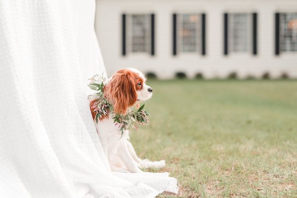  Backyard Southern Soirée Styled Shoot