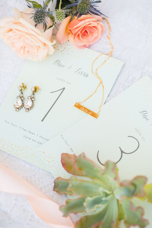  A Taste of Texas Meets the AZ Desert in this Timeless Wedding!