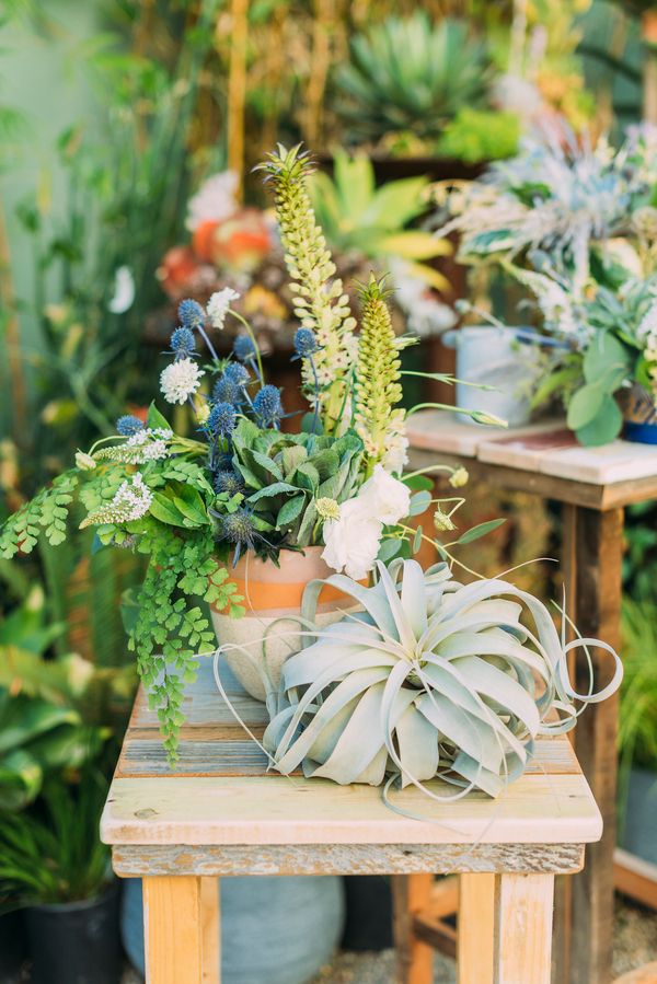  Bohemian Succulent Filled Wedding Inspo