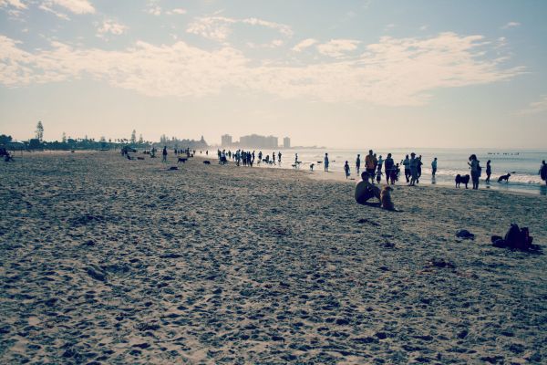 photo dogbeachday2_zpsadfc79b8.jpg