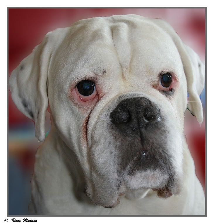 http://i24.photobucket.com/albums/c32/Rudy39/IMG_2874.jpg
