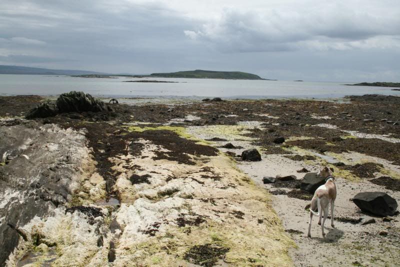 Gigha11.jpg