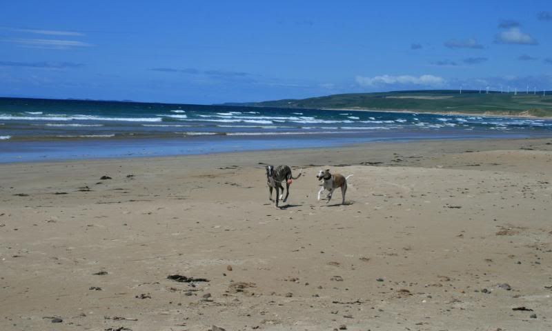 MachrihanishBeach8.jpg