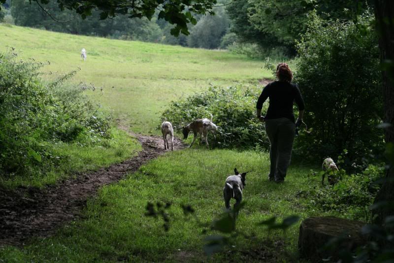 SevernValley03-08-093.jpg