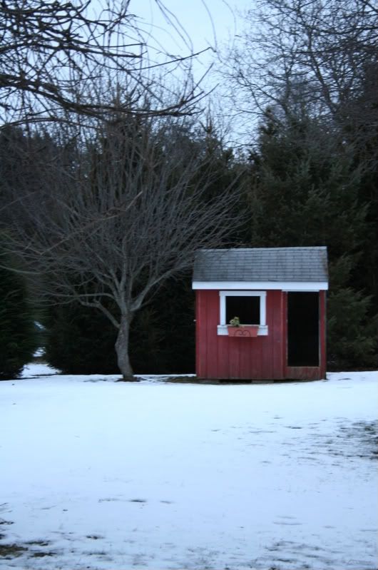 IMAGE: http://i24.photobucket.com/albums/c33/nickolbagspics/My%20Photos/IMG_3549-1.jpg