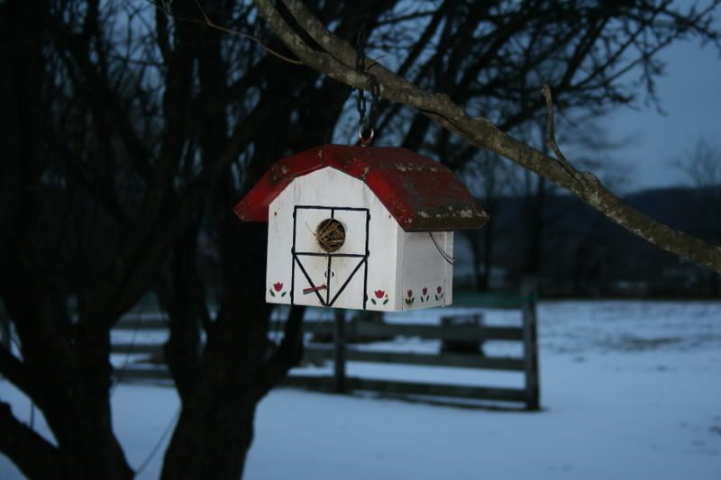 IMAGE: http://i24.photobucket.com/albums/c33/nickolbagspics/My%20Photos/IMG_3551.jpg