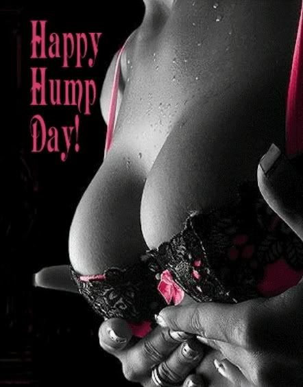 happy hump day Pictures, Images and Photos