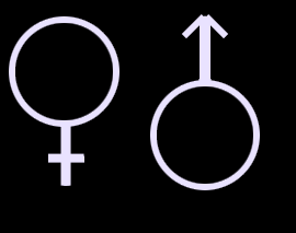 female_male_symbol.gif
