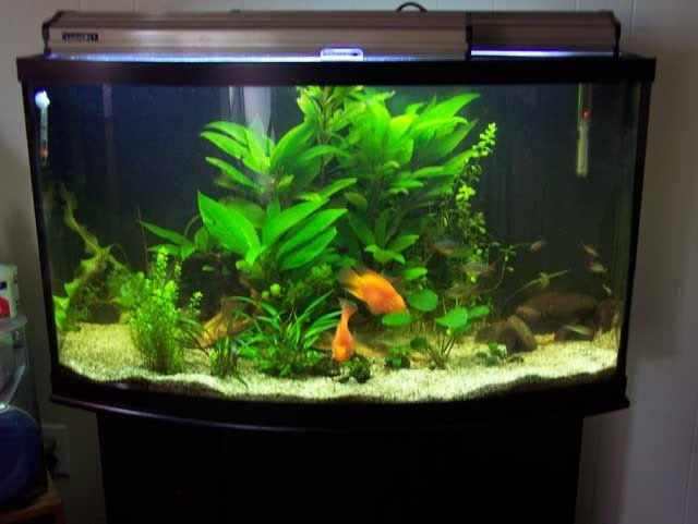 bigtank07