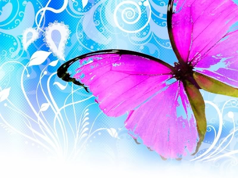 wallpaper pink butterfly. pink and blue wallpaper