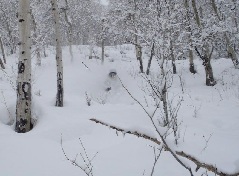 DSC02121.jpg