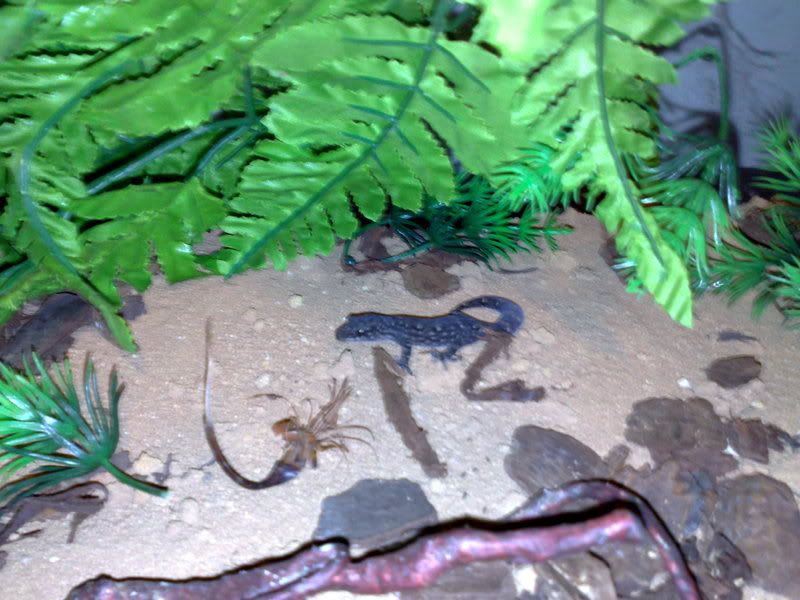 08022008006.jpg