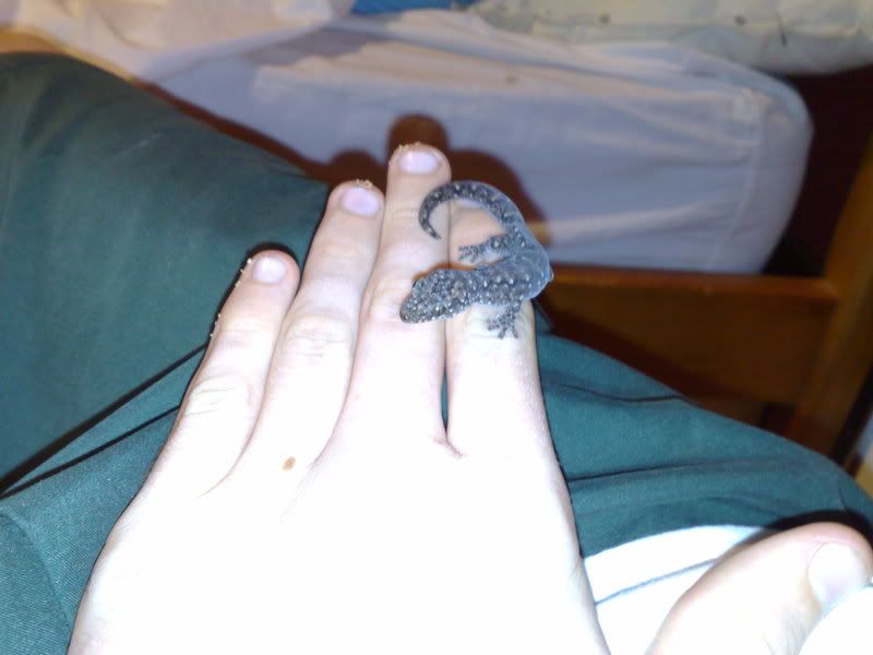 08022008009.jpg