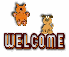 welcome bouncing dog and cat