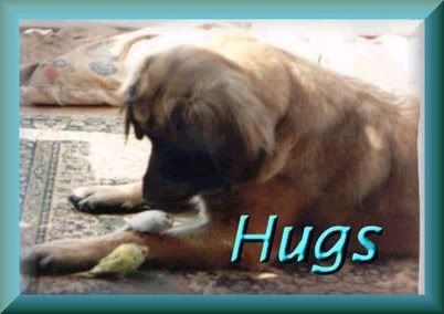 birdleo.jpg hugs dog image by painthorse72
