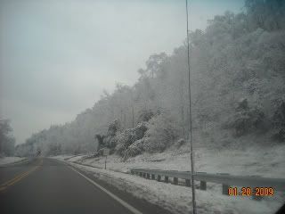 2009IceStorm013.jpg