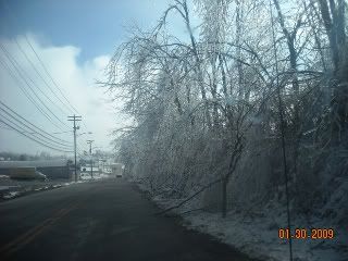 2009IceStorm015.jpg