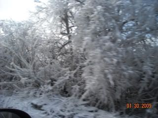 2009IceStorm018.jpg