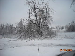 2009IceStorm026.jpg