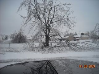 2009IceStorm027.jpg