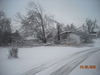 2009IceStorm028.jpg