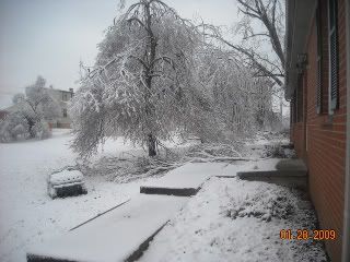 2009IceStorm029.jpg