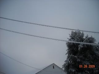 2009IceStorm032.jpg