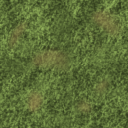 Grass+texture+minecraft