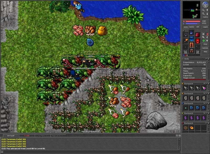  photo YouadvancedfromLevel80toLevel81.jpg