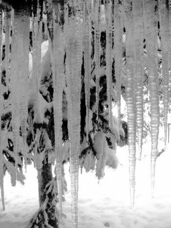 II 1icicles