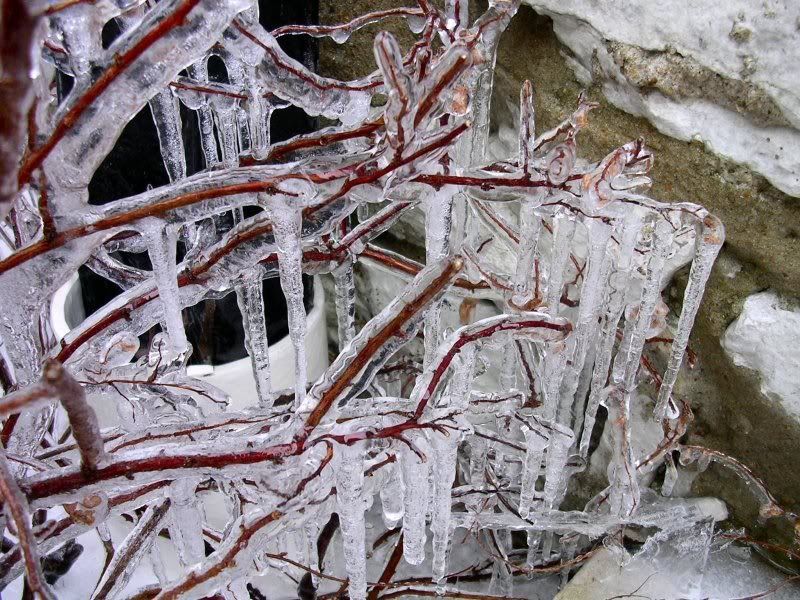 II Icicles