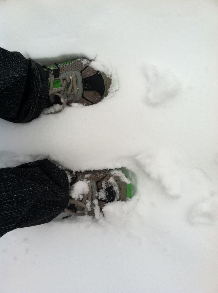 Snowy Shoes