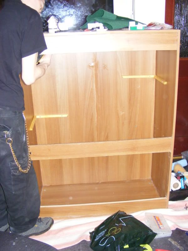 Chinese Water Dragon Not Eating.. Any Ideas?? Reptile Forums