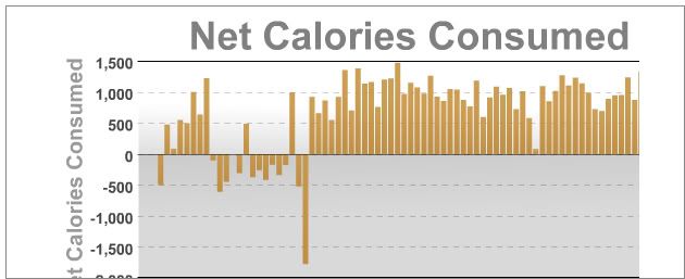 netcalories.jpg