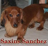 Saxins Sanchez