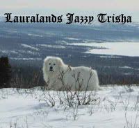LauraLands Jazzy Trisha