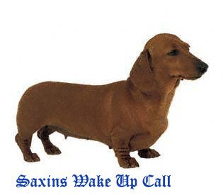Saxins Wake Up Call