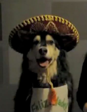 sammisombrero.jpg?t=1291542508